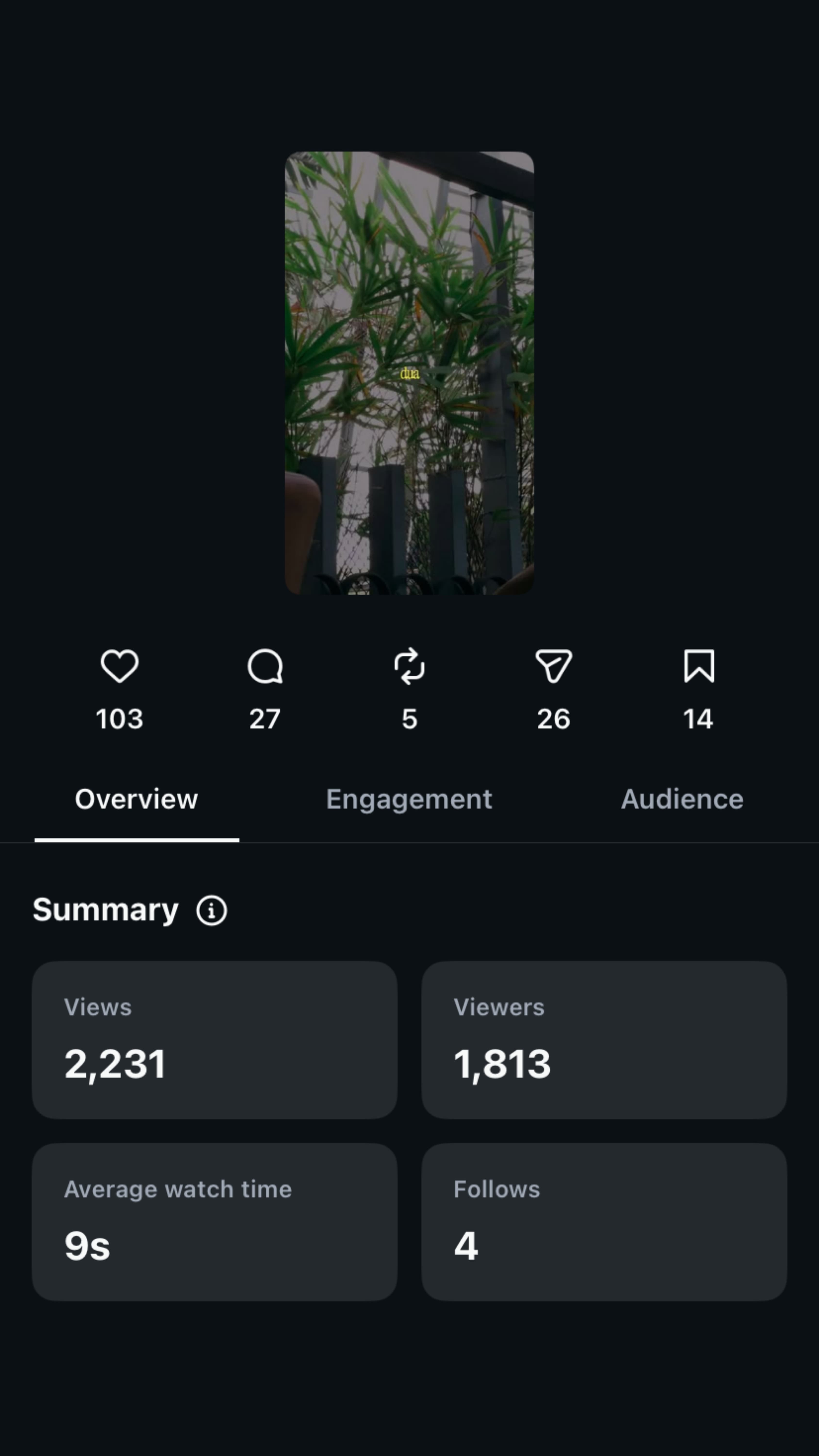 Instagram stats summary, before the rewrite: 2,231 views